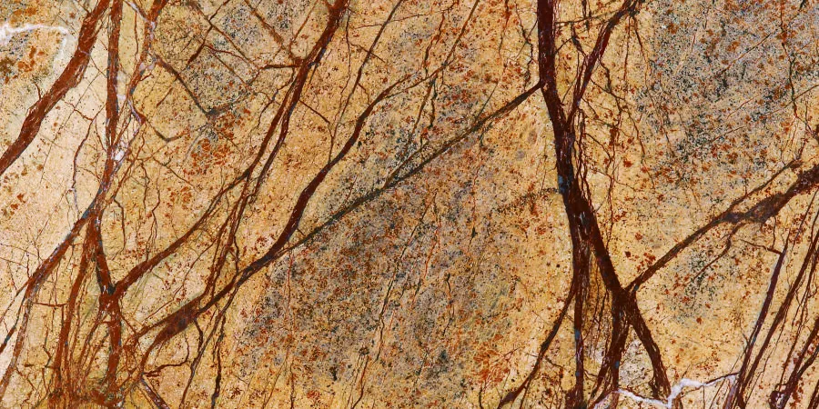 Rainforest Brown